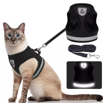 Chest collar for cat