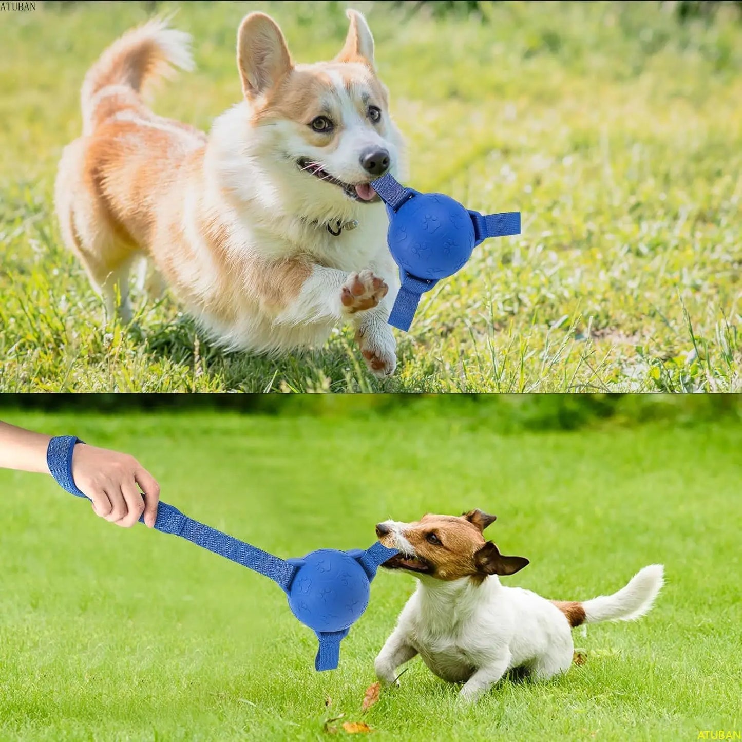 Dog Soccer Ball Toy: Interactive Rubber Water Toy